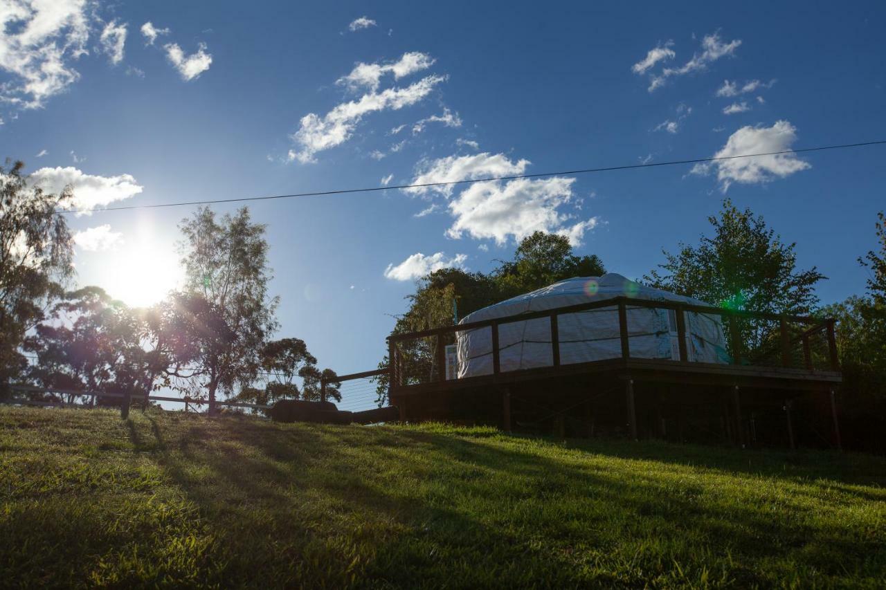 Awesome Glamping Gold Coast Hinterland Hotel Advancetown Bagian luar foto