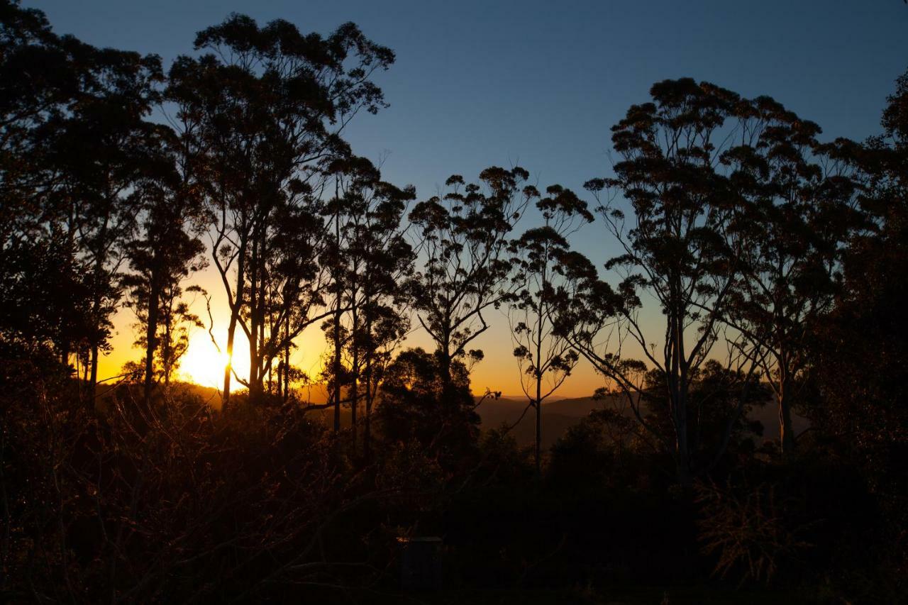 Awesome Glamping Gold Coast Hinterland Hotel Advancetown Bagian luar foto